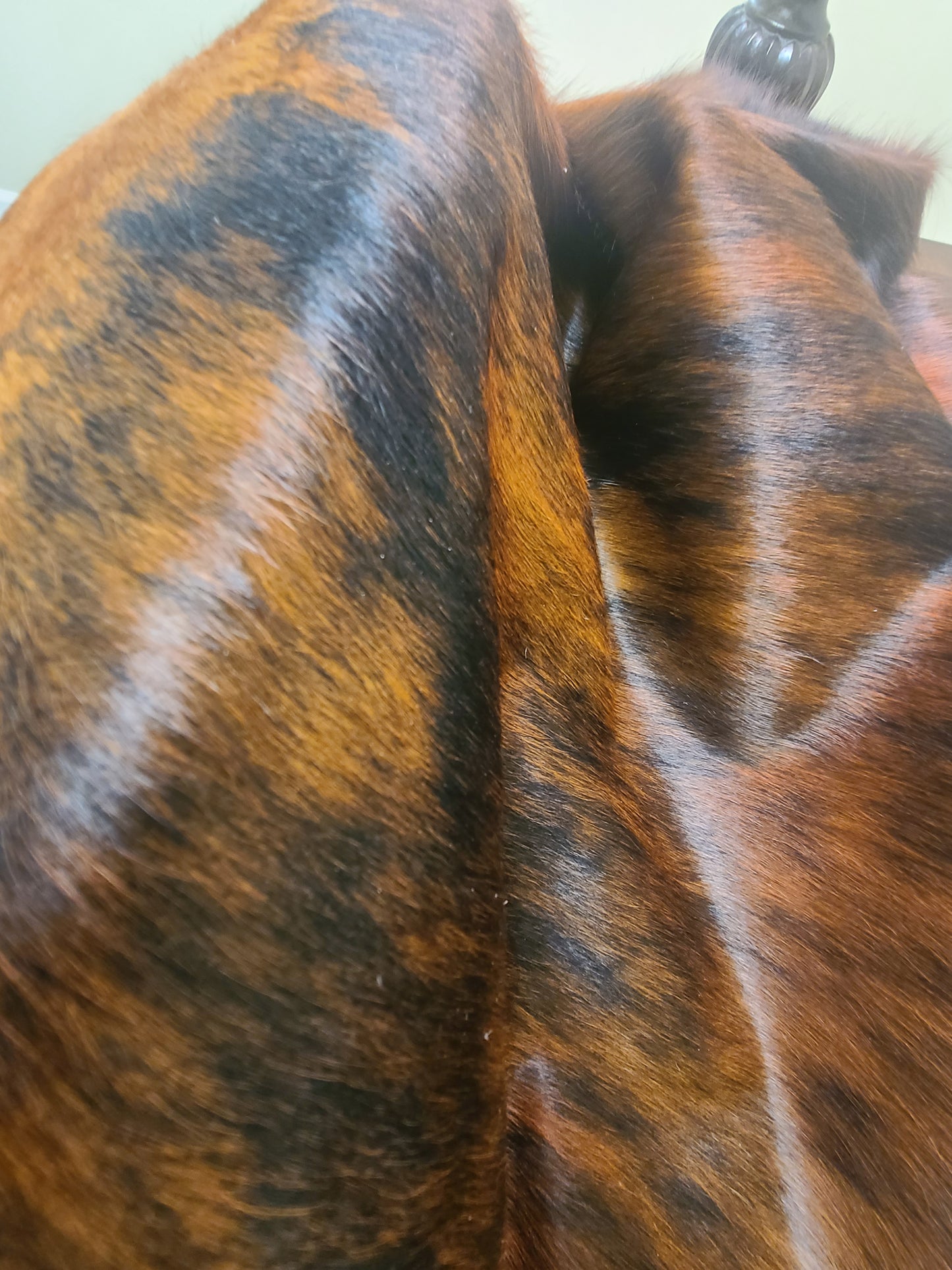 Brazilian Cowhide Rug - Dark White Belly Brindle - 8 ft x 6 ft-Status Co. Leather Studio