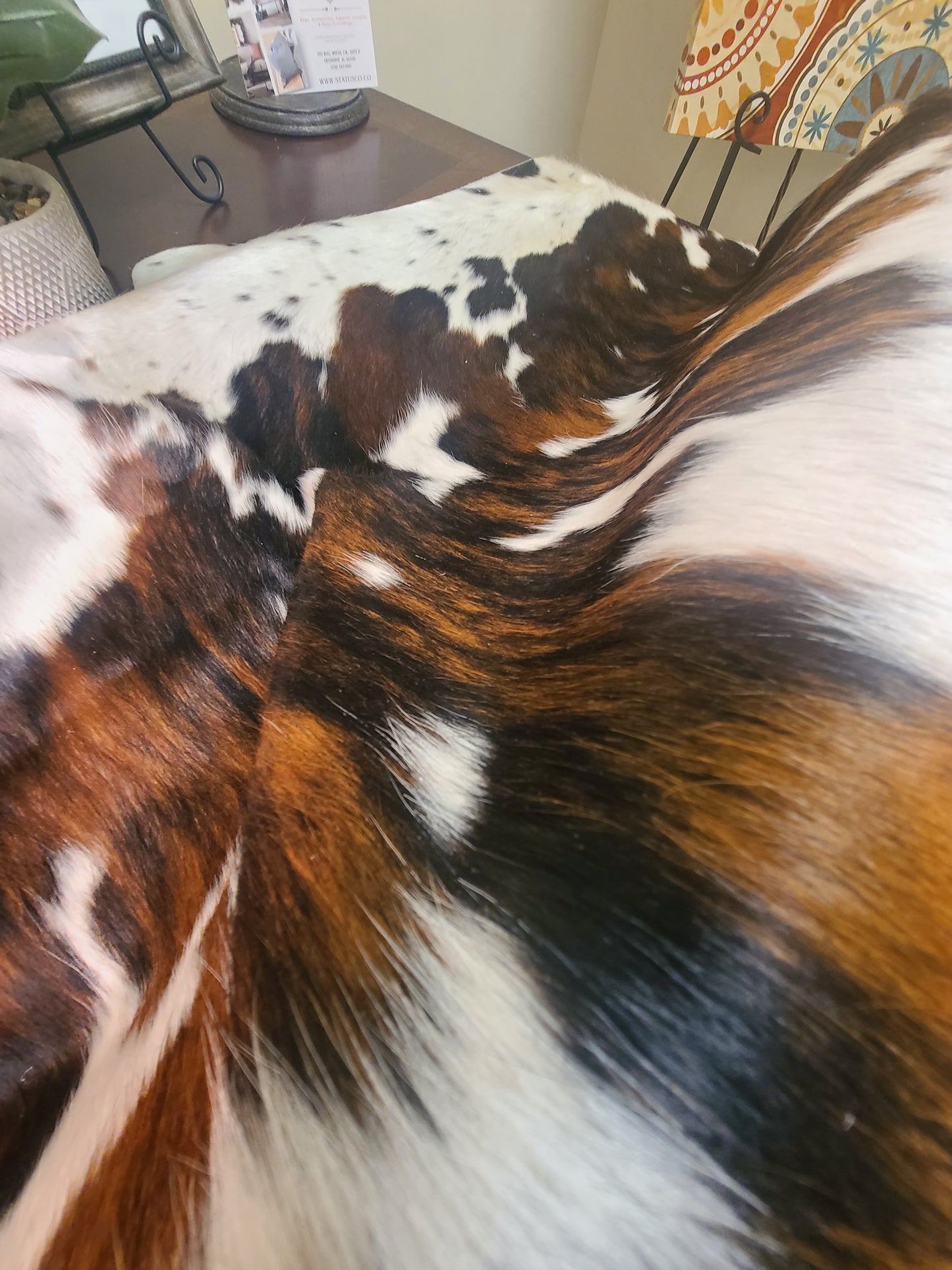 Brazilian Cowhide Rug - Tri-Color - 8 ft x 6 ft-Status Co. Leather Studio