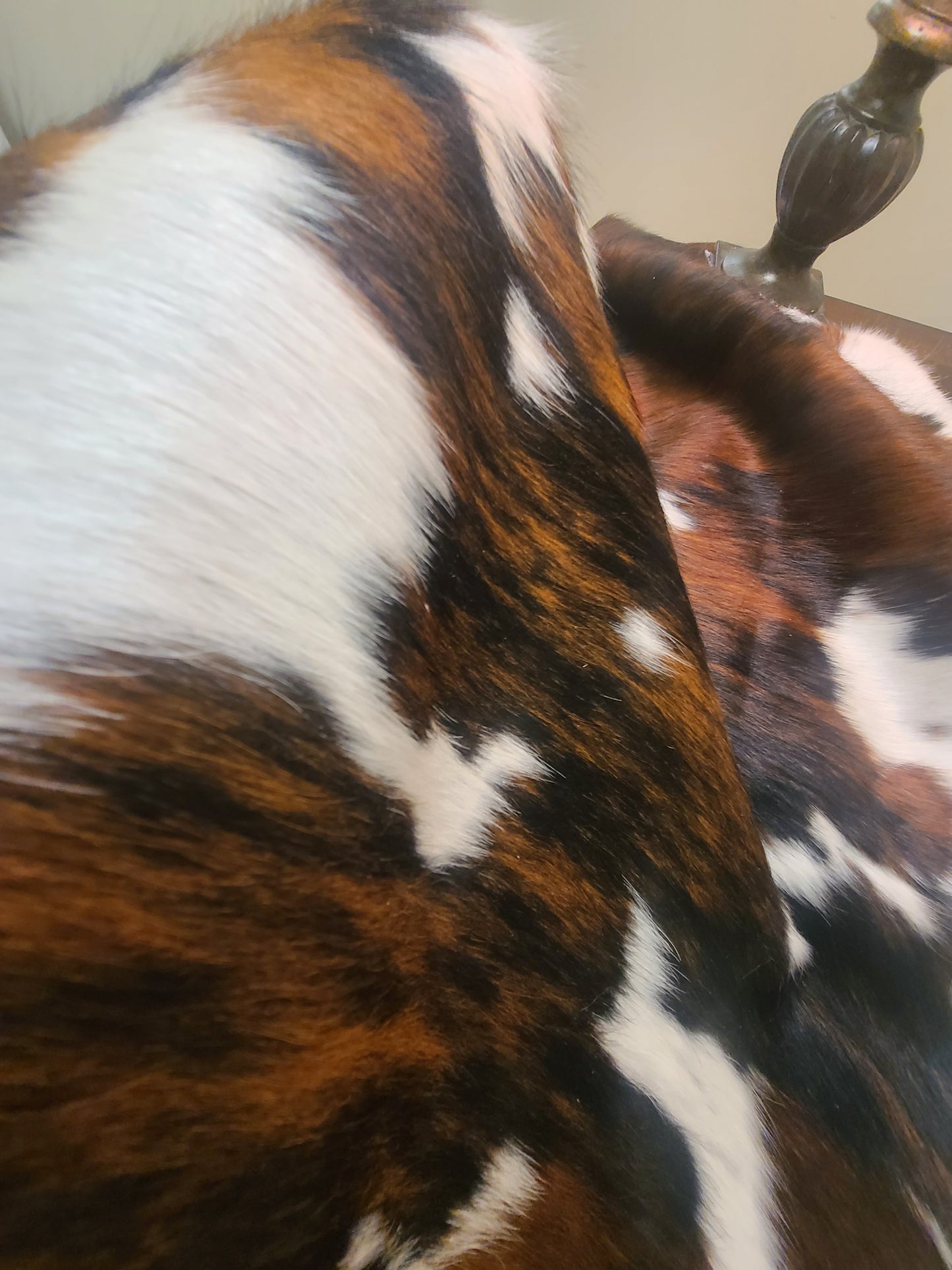 Brazilian Cowhide Rug - Tri-Color - 8 ft x 6 ft-Status Co. Leather Studio