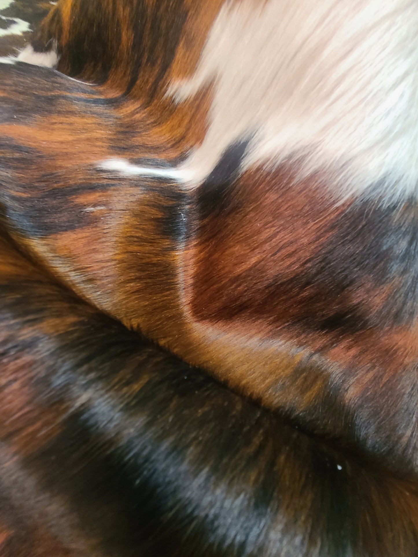 Brazilian Cowhide Rug - Tri-Color - 8 ft x 6 ft-Status Co. Leather Studio