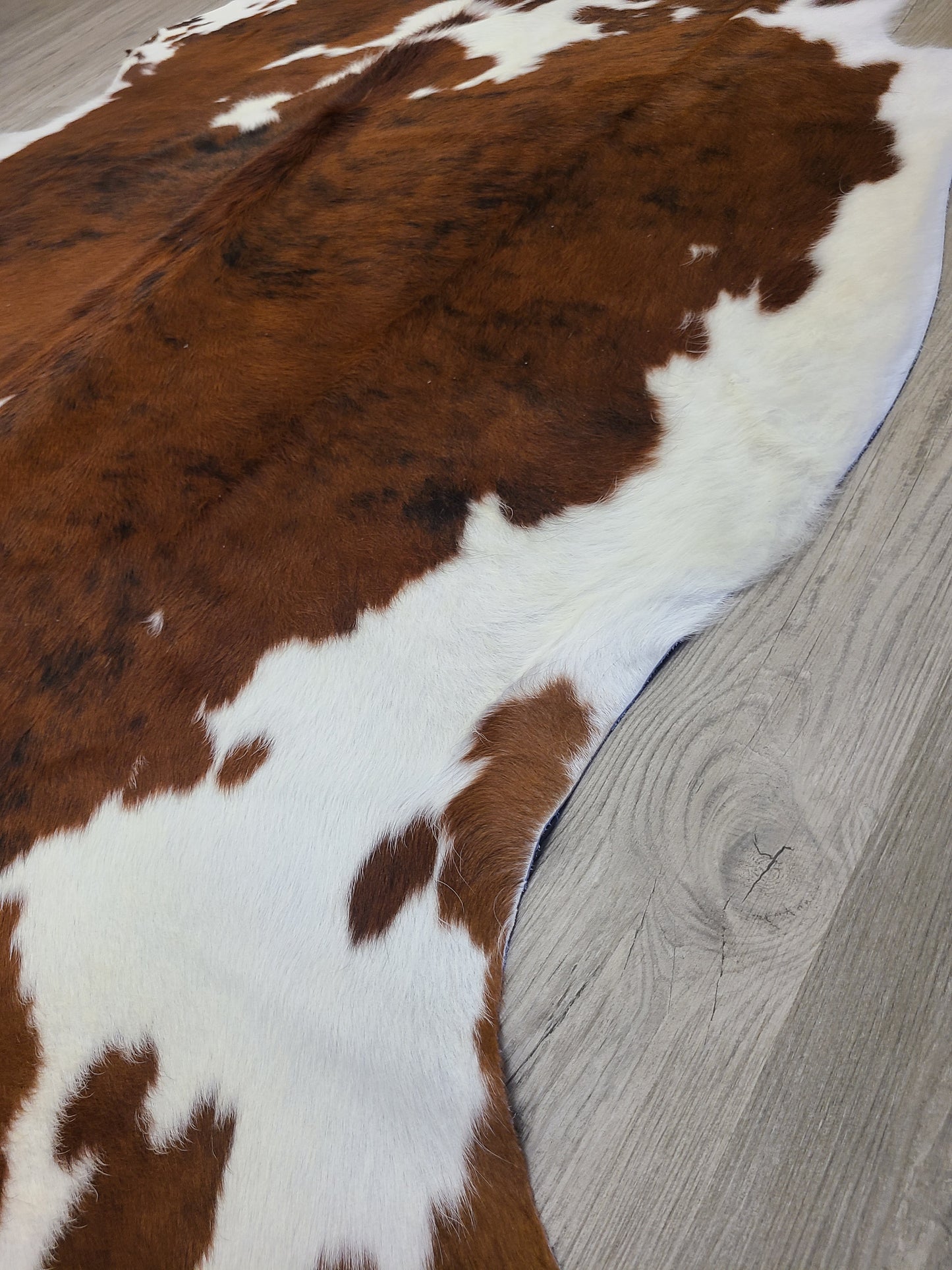Brazilian Cowhide Rug - Brown & White Spotted - 8 ft x 6 ft-Status Co. Leather Studio