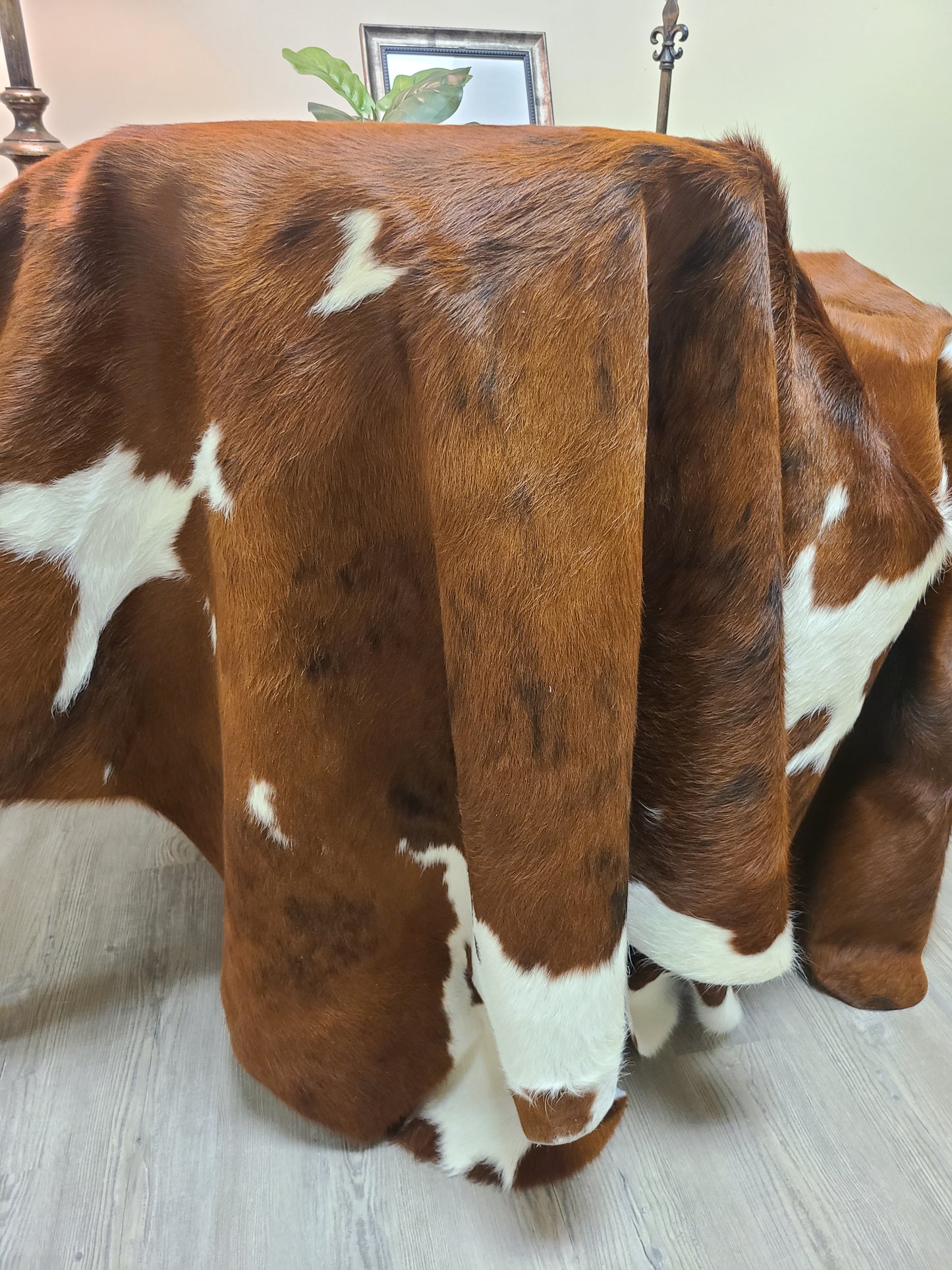Brazilian Cowhide Rug - Brown & White Spotted - 8 ft x 6 ft-Status Co. Leather Studio