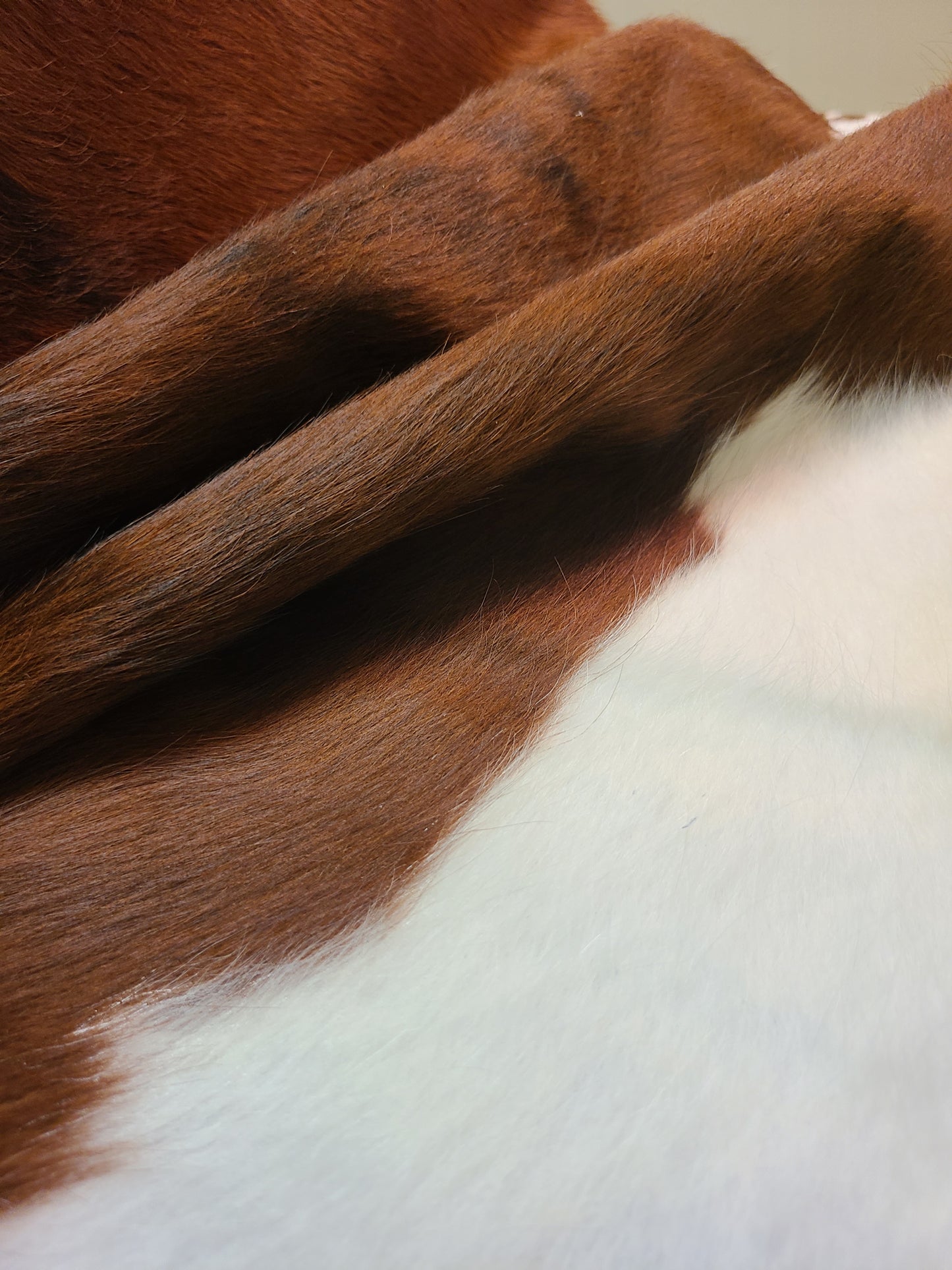 Brazilian Cowhide Rug - Brown & White Spotted - 8 ft x 6 ft-Status Co. Leather Studio