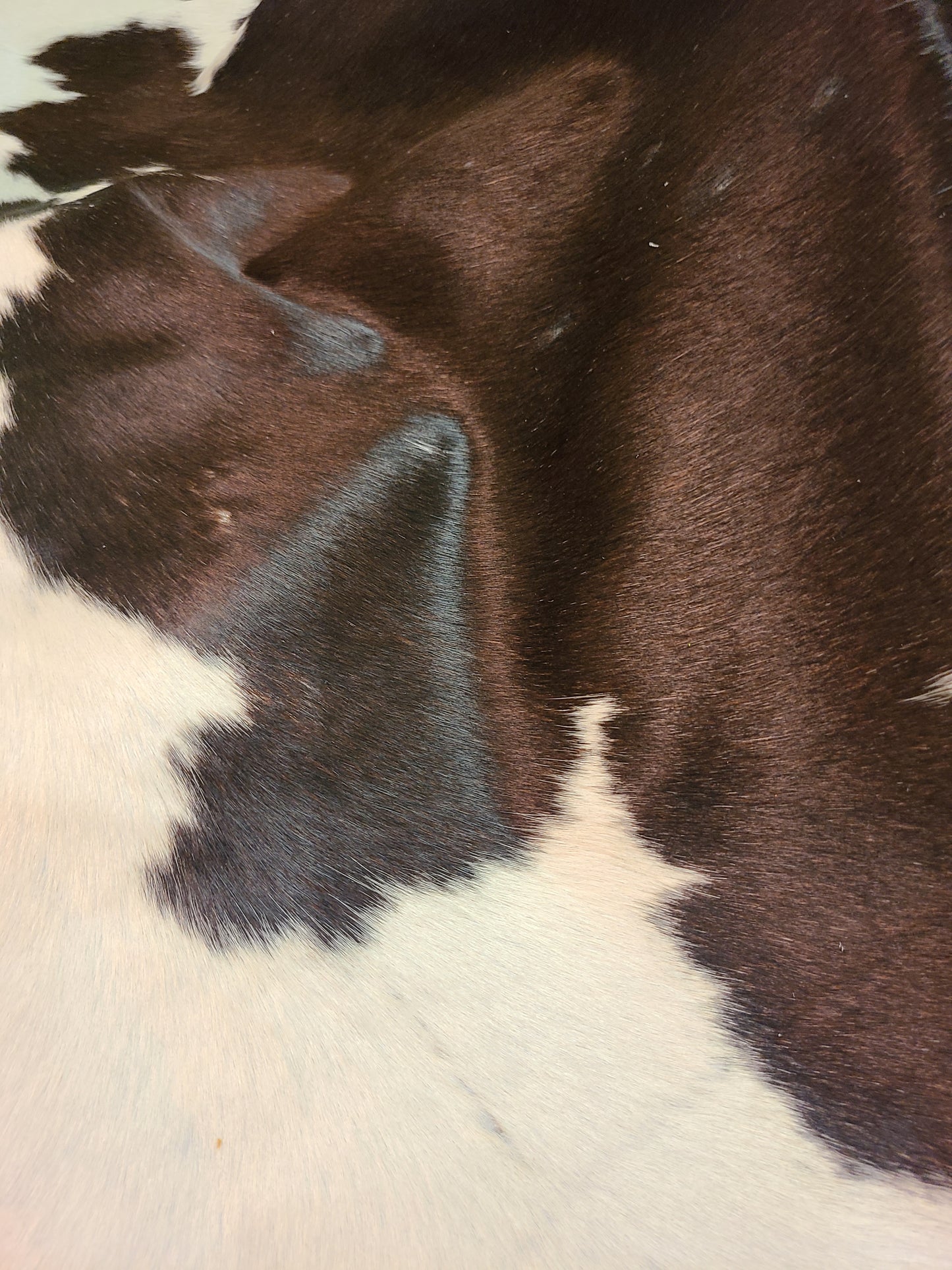 Brazilian Cowhide Rug - Black & White Spotted - 9 ft x 7 ft-Status Co. Leather Studio