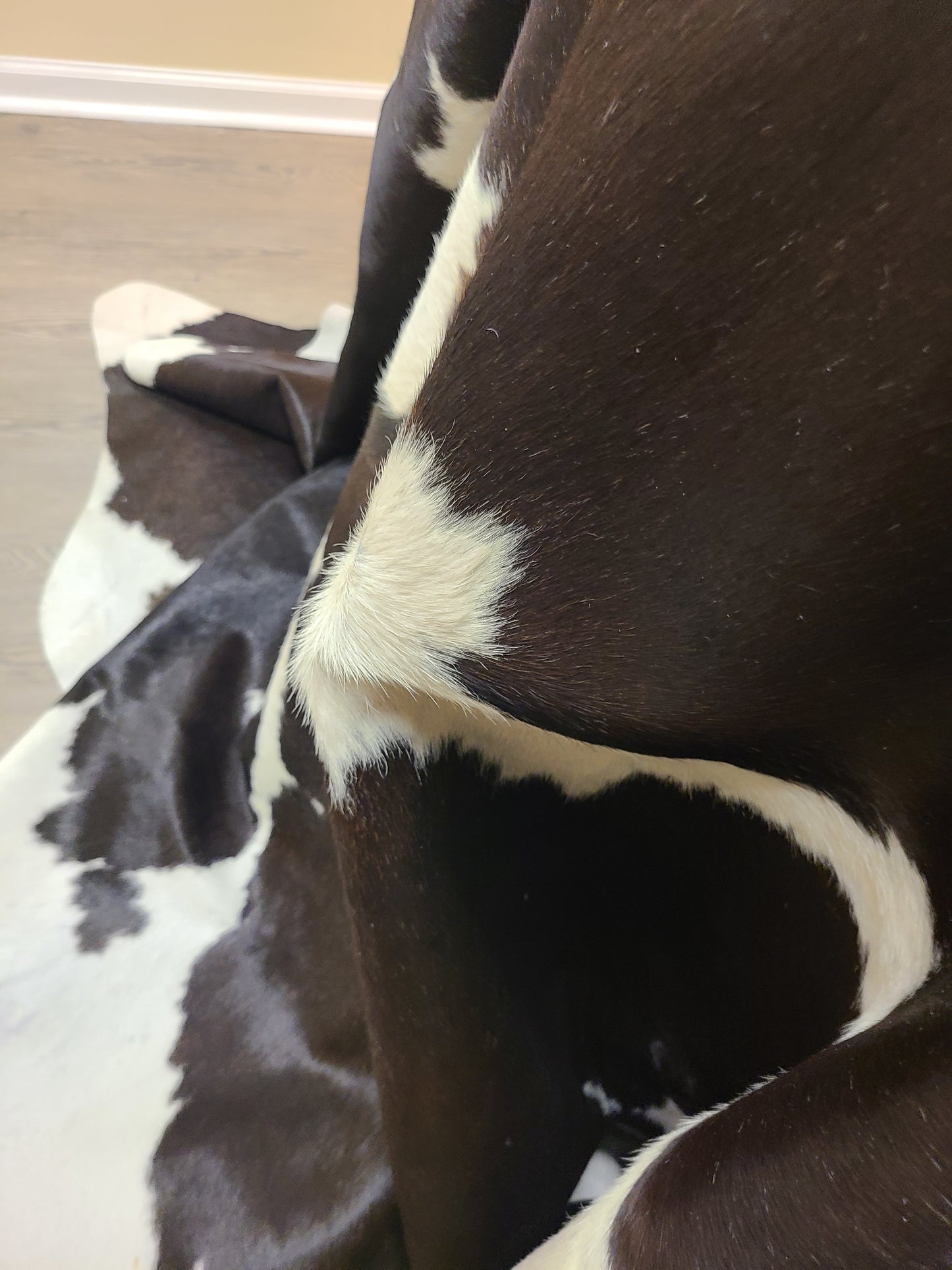 Brazilian Cowhide Rug - Black & White Spotted - 9 ft x 7 ft-Status Co. Leather Studio
