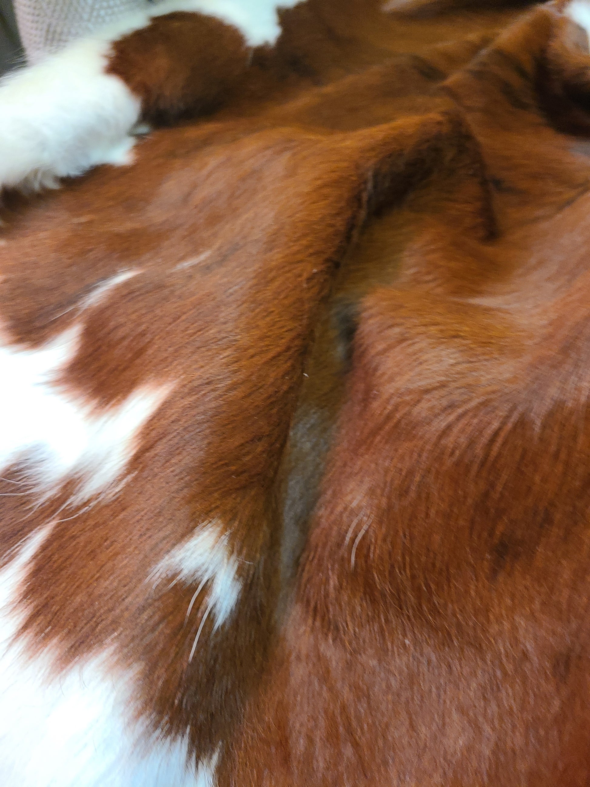 Brazilian Cowhide Rug - Brown & White Spotted - 8 ft x 6 ft-Status Co. Leather Studio